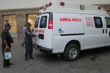 ¡TERRIBLE! Al menos ocho personas heridas por ataque de abejas en Maracaibo