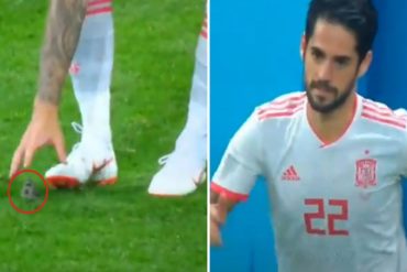 ¡AY, QUÉ CUCHI! El adorable momento en el que un jugador salvó un pajarito del campo de fútbol (+Video)