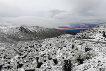 ¡ESPECTACULAR! La imponente nevada que sorprendió a los merideños (+Fotos increíbles +Video)