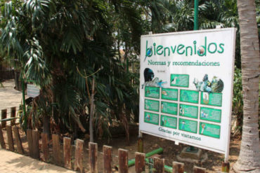 ¡HAMPA DESATADA! Se robaron dos guacamayas y 10 morrocoyes del zoológico de Paraguaná