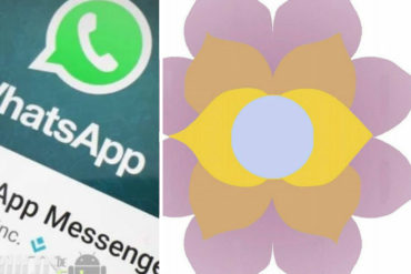 ¡PILAS! El modus operandi de “La flor de la abundancia”: la estafa que se viralizó en Whatsapp (venezolanos son presa fácil)