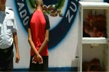 ¡UN HORROR! Pasó en Zulia: Adolescente robó y mató dos caballos para vender su carne