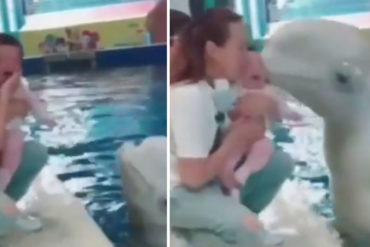 ¡QUÉ BELLEZA! El tierno video de un delfín dándole un delicado beso a un bebé (+Awww)