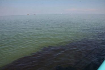 ¡TERRIBLE! Denuncian derrame de petróleo en el Lago de Maracaibo (Pdvsa sigue “ciega, sorda y muda”) (+Fotos)