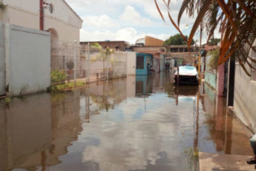 ¡GRAVE INDICADOR! Río Caroní alcanza alerta roja y deja inundaciones en Ciudad Guayana (más de 260 familias afectadas y el gobierno ni pío)