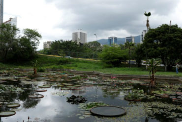 ¡POR UN GOBIERNO INDOLENTE! Sin agua y cuidados, se marchita el Jardín Botánico de Caracas, patrimonio cultural de la humanidad (+Fotos)