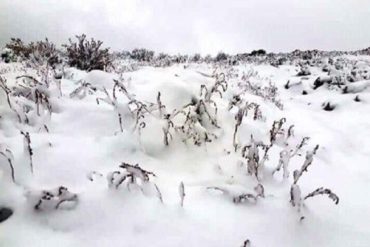 ¡MÁGICO! En Mérida nevó por más de 24 horas y así quedaron sus montañas (Video +Paisaje espectacular)