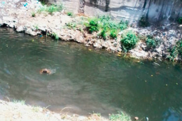 ¡DESAMPARADOS! Niños se lanzan a río contaminado por desechos para buscar monedas y comprar algo de comer