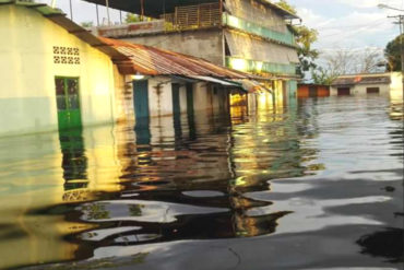 ¡IMPRESIONANTES! Las imágenes sobre inundaciones en Amazonas por crecidas de los ríos Caroní y Orinoco