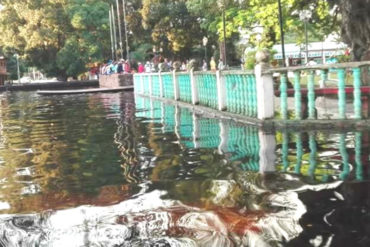 ¡GRAVE SITUACIÓN! Valentina Quintero presiona al gobierno ante falta de respuestas por inundaciones en Amazonas  (+Fotos alarmantes)