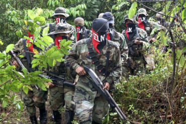 ¡ATENCIÓN! Colombia ordena la captura de guerrilleros del ELN que estarían operando desde Venezuela