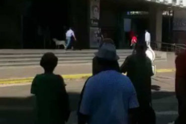 ¡EJEMPLO DE AMOR MAYOR! Con perros amedrentaron a pensionados durante una protesta en Maracaibo (+Video)