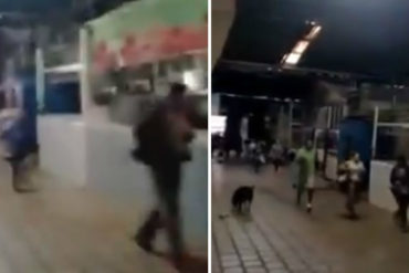 ¡A ESTO LLEGAMOS! Así corrieron en Táchira para comprar pollo (+Video)