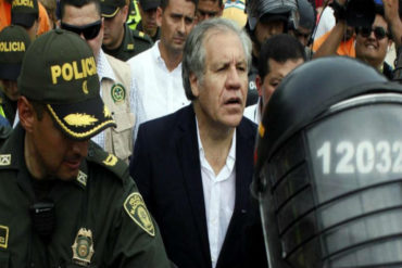 ¡SIN TAPUJOS! Luis Almagro: “Siento impotencia de no poder salvarles la vida a los niños desnutridos en Venezuela”