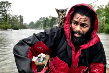 ¡CONÓZCALO! «Sobreviviente», el tierno gatito rescatado en Florida en medio del huracán Florence