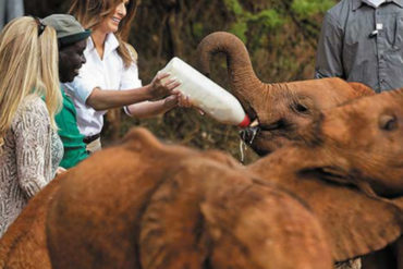 ¡SUSTO! El momento en que un elefante bebé se abalanza contra Melania Trump y casi la tumba (+Video)