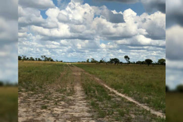 ¡ATENTOS! Detectaron pistas clandestinas en el estado Guárico: Hallaron dos aviones escondidos y campamentos improvisados (+Fotos)