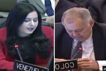 ¡ARDE LA PRADERA! Así fue el encontronazo entre los representantes de Venezuela y Colombia durante sesión en la OEA (+Videos)