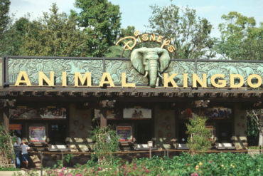 ¡EMOTIVO! El «Alma Llanera» suena en Disney’s Animal Kingdom, parque temático en Walt Disney World Resort (+Video)