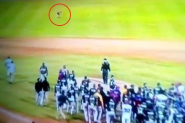 ¡SE PASÓ! Fanático se aprovechó de la tángana entre Leones y Tiburones para robarse un guante (+Video)