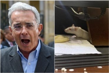 ¡ASQUEROSO! Una bolsa con ratones que lanzaron a Uribe paralizó la sesión del Senado colombiano (+Videos)