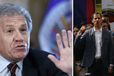 ¡CLARITO! Almagro saluda a Juan Guaidó como presidente interino de Venezuela: «Tiene nuestro apoyo»