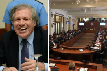 ¡CELEBRA DE PIE! Almagro aplaude la resolución de la OEA contra el “ilegítimo” de Maduro: Los venezolanos no están solos