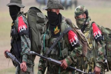 ¡QUE SE SEPA! Al menos 1.000 miembros del ELN estarían operando en Venezuela, revela comandante de las Fuerzas Militares de Colombia