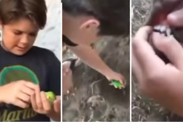 ¡CAUSÓ FUROR! El tragicómico entierro del periquito «Chimuelo» que se convirtió en el primer hit viral de 2019 (+Video + memes)