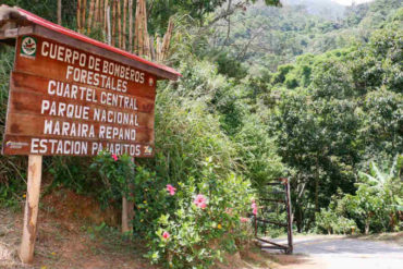 ¡LAMENTABLE! Fallece un excursionista de 60 años en El Ávila: estaba inconsciente tras presentar una posible crisis convulsiva