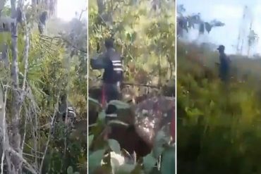 ¡IMPERDIBLE! El video de 3 GNB cruzando por la selva hacia Brasil: “Fuertes, aguerridos, huyendo de estas ratas” (+Video)