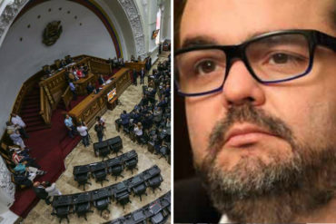 ¡LE CONTAMOS! AN ratifica la designación de José Ignacio Hernández Guedez como Procurador Especial