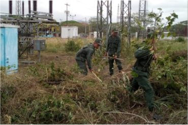 ¿Y EL ATAQUE «CIBERNÉTICO»? Pusieron a las FANB a cortar monte cerca de las subestaciones eléctricas (+Fotos)