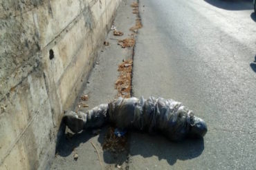 ¡HORROR! Encontraron cadáver envuelto en una bolsa plástica en plena Autopista Regional del Centro