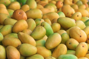 ¡FUERTE! “Mango frito”: Lo que comen algunos venezolanos para paliar el hambre por el alto precio de los alimentos