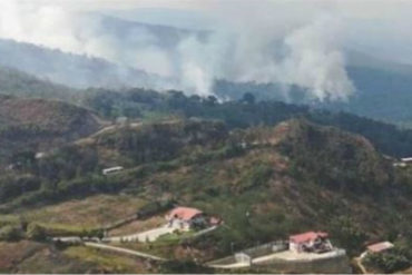 ¡ATENCIÓN! Continúa el incendio en el Parque Nacional Macarao