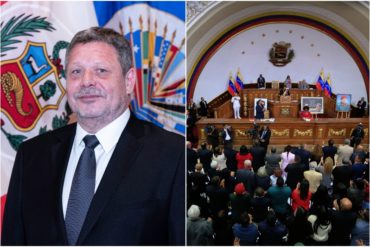 ¡HASTA CON EL TOBO! Embajador de Perú en la OEA condena existencia de la ANC: «Es un instrumento para perseguir a autoridades democráticamente elegidas» (+Video)