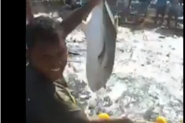 ¡INCREÍBLE! Así se “multiplicaron los peces” ante los ojos sorprendidos de los pescadores en una playa de Margarita (+Video)