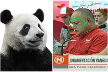 ¡PÍLLELAS! Las marcadas ojeras de Diosdado Cabello que muestran que alguien no duerme como un bebé (+Foto)