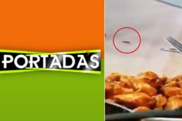 ¡GUÁCALA! En Portada’s preparaban comida y se coló esta “invitada” para nada grata (+Video +Pollo a la chiripa)