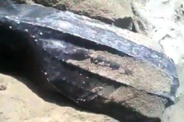 ¡UNA BELLEZA! Encontraron una tortuga gigante en el estado Vargas