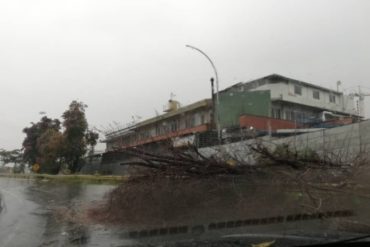 ¡TODO UN CAOS! Temporada de lluvias causan estragos en algunos estados del país (+Fotos)