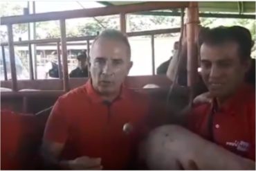 ¡POR FAVOR! Freddy Bernal lideró una entrega de cerdos en el estado Táchira (+Video)