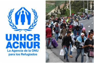 ¡ATENCIÓN! Las dos opciones que estudia Ecuador para enfrentar aumento de inmigrantes venezolanas