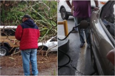 ¡EL DESASTRE! Le cayó un árbol sobre el carro mientras esperaba en la cola por combustible en Táchira (+Foto)