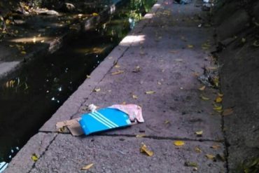 ¡QUÉ TERRIBLE! Abandonaron feto dentro de una caja de zapatos en plena avenida Bolívar de Maracay