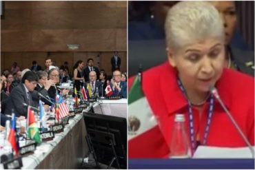 ¡SEPA! La representación de México en la OEA dice que la delegación de Venezuela no puede regirse por los “conflictos internos” (+Video)