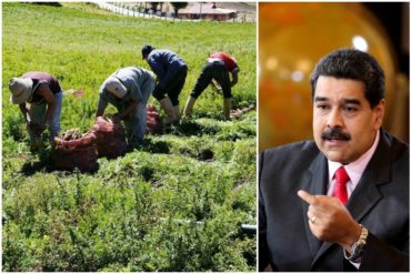 ¡CARA ‘E TABLA! Maduro ahorca a los productores, pero dice que el país debe producir todo lo que consume