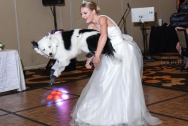 ¡QUÉ TERNURA! Este perro amaestrado bailó en la boda de su entrenadora y acaparó la atención de las redes (+Video)