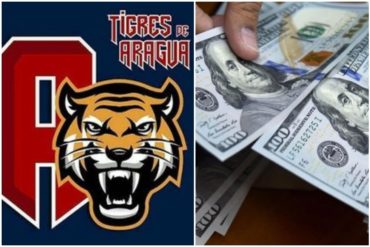 ¡SE PRENDIÓ! Abonados de los Tigres de Aragua deberán pagar en dólares (+Precios de infarto)